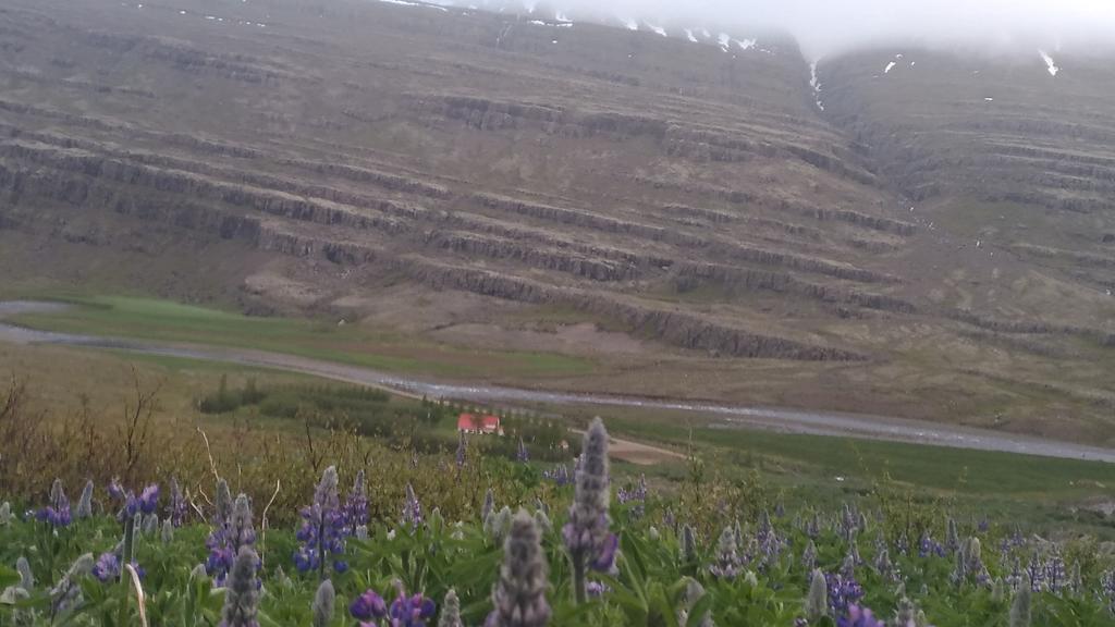 Fossardalur Guesthouse Djúpivogur Екстериор снимка